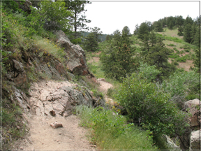 Path