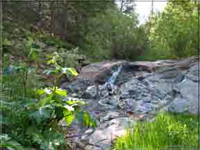 cascade