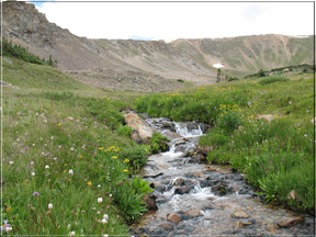 alpine stream