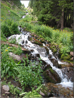 cascade