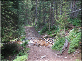 path