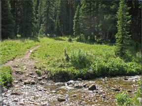 path through stream
