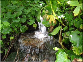 tiny water fall