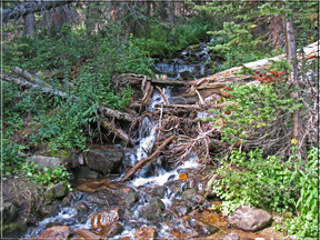 cascade