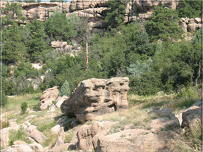 rocky field