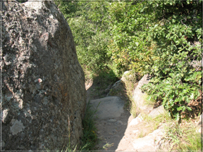 path