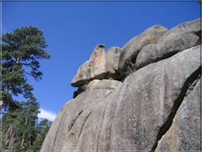 Dolphin Rock