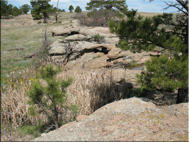rocks along the creek