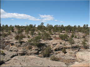 Broad view across the canyon