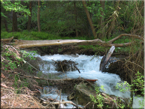 white water stream