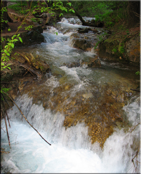 white water stream