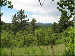 view of the valley