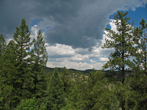 view