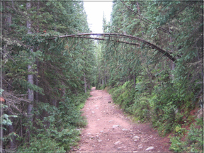 Butler Gulch path