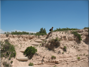 Pawnee Buttes trail