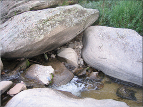 Cherry Creek
