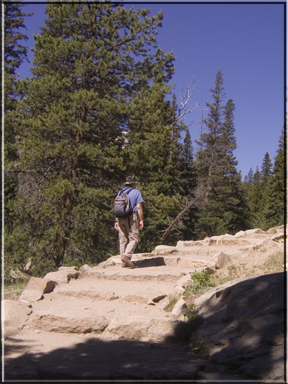 Steps in the path