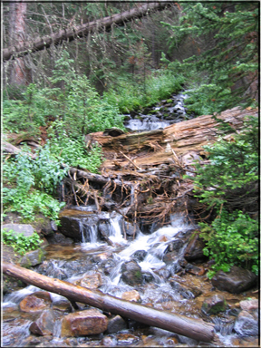 stream flowing over rocks