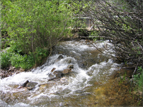 stream